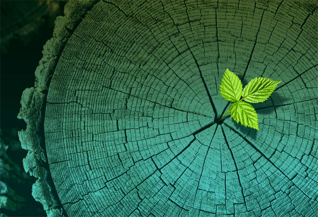 PDLH Ponce De Leon Health